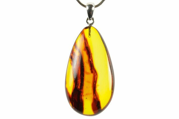 Polished Baltic Amber Pendant (Necklace) - Contains Fly! #367367